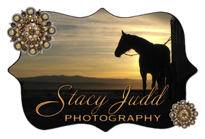 Stacy Judd Photography