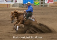 Rock Creek Reining Horses - Jackson & Stephanie Porath
